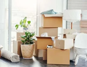 Living room kept guest-ready by recurring house cleaning